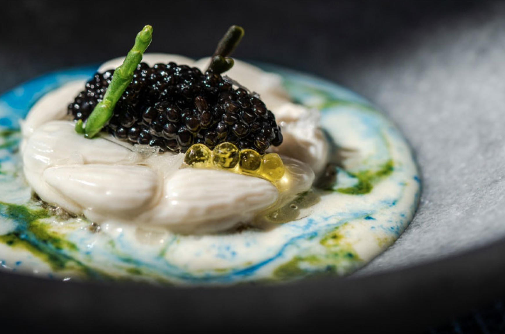 Captura de pantalla 2024-04-11 a las 13.24.41