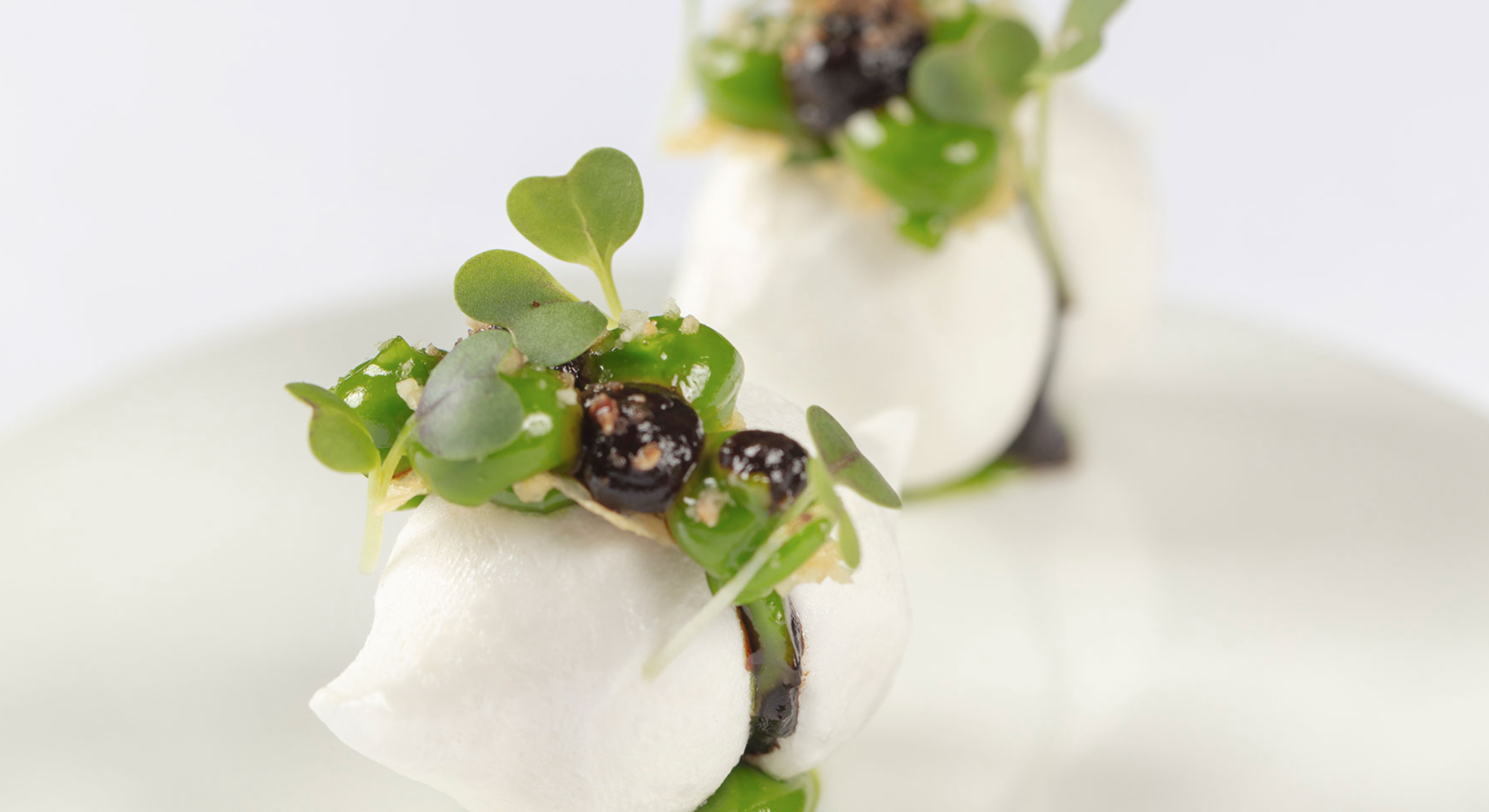 Captura de pantalla 2024-04-12 a las 8.57.48